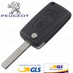 guscio cover telecomando 2 tasti + vano peugeot orignale IEA